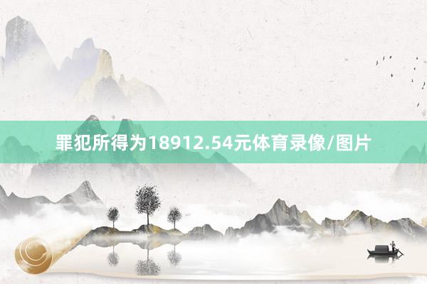 罪犯所得为18912.54元体育录像/图片
