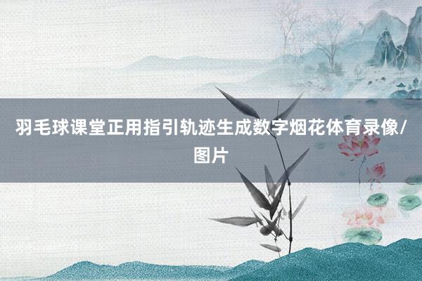 羽毛球课堂正用指引轨迹生成数字烟花体育录像/图片