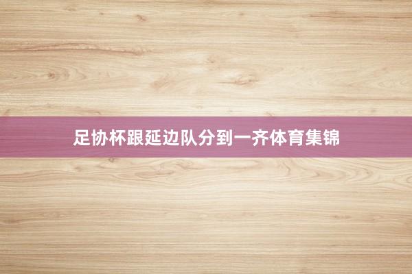 足协杯跟延边队分到一齐体育集锦