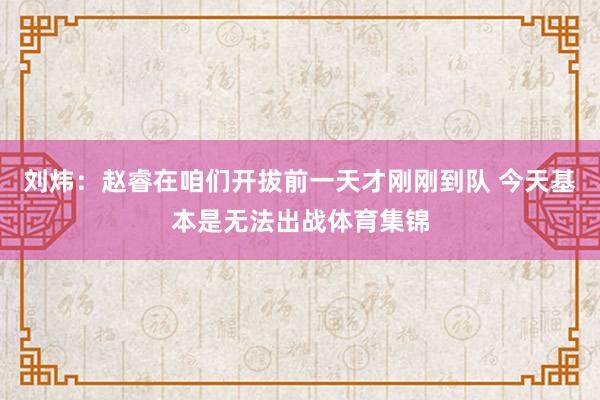 刘炜：赵睿在咱们开拔前一天才刚刚到队 今天基本是无法出战体育集锦